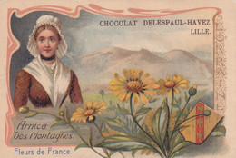 Chocolat Delespaul-Havez Lille Fleurs De France Arnica Des Montagnes Rare Dos Abimé - Unclassified
