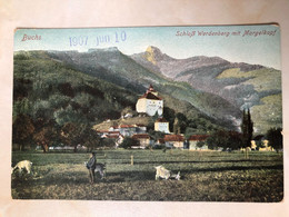 Switzerland Suisse Schweiz Buchs Schloss Castle Werdenberg Margel Kopf Goat Tachochrom Ed. 15053 Post Card POSTCARD - Buchs
