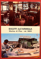 Cartolina - Saluti Dall'Arsella - Marina Di Pisa - 1960 Ca. - Pisa