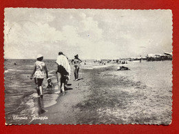 Cartolina - Tirrenia ( Pisa ) - Spiaggia - 1956 - Pisa