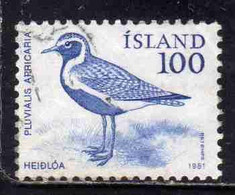 ISLANDA ICELAND ISLANDE ISLAND 1981 FAUNA ANIMALS PLUVIALIS APRICARIA BIRD 100k USED USATO OBLITERE' - Oblitérés