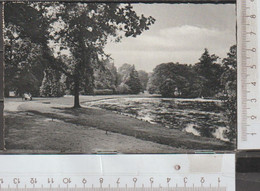 Bad Driburg  Am Kurparkweiher Gebraucht 1955( AK 2755)  Günstige Versandkosten - Bad Driburg