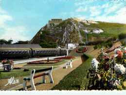 Cherbourg * Les Jardins De La SNCF Et La Montagne Qui Roule * Train Ligne Chemin De Fer Gare - Cherbourg