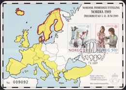 Norvège - Norway - Norwegen Document 1989Y&T N°DP976 à 977 - Michel N°PD1019 à 1020 (o)- EUROPA - Couleur - Lettres & Documents