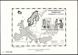 Norvège - Norway - Norwegen Document 1989Y&T N°DP976 à 977 - Michel N°PD1019 à 1020 (o)- EUROPA - Noir Et Blanc - Covers & Documents