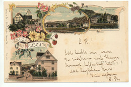 LITHO Gruss Aus HAUSEN A./A. Handlung Bad Albisbrunn Seidenfabrik Kirche Gel.1902 V. Sihlbrugg-Station N. Zürich - Hausen Am Albis 