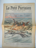 LE PETIT PARISIEN N°903 - 27 MAI 1906 - ATTAQUE DE REQUINS - RUSSIE OUVERTURE DE LA DOUMA - Le Petit Parisien