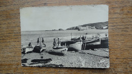 Banyuls-sur-mer , Les Barques Au Repos Sur La Plage - Banyuls Sur Mer