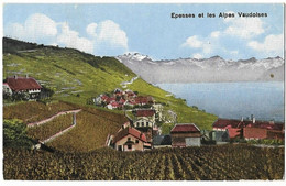 EPESSES: Village, Viticulture 1920 - Épesses