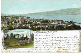 WÄDENSWIL: 2-Bild-AK Mit Obst- Und Weinbauschule 1905 - Wädenswil