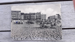 STRAND EN DIJK - Zeebrugge