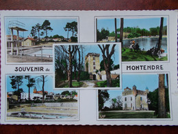 17 - MONTENDRE Les PINS - Souvenir De Montendre. (CPSM Multivues) - Montendre