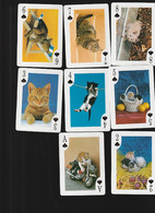 JEU DE 52 CARTES (SANS JOKERS) /  52 PHOTOS DIFFERENTES  DE CHATS / QUALITE LUXE / EDITEES EN GRECE - 54 Cartes