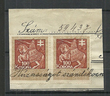 UNGARN HUNGARY 1920ies - Revenue Tax Steuermarken 100 Korona On Cut Out O - Fiscali