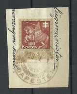 UNGARN HUNGARY 1920ies Revenue Tax Steuermarke 100 Korona On Out Out O - Steuermarken
