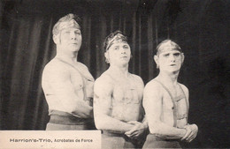 HARRION'S ACROBATES DE FORCE TBE - Circo
