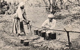 JAMAIQUE JAMAICA COOKING THE MORNING BREAKFAST PRECURSEUR TBE - Jamaïque