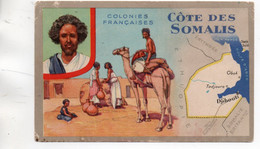 COLONIES FRANCAISES COTE DES SOMALIS PUB PUBLICITE CIRAGE LION NOIR TBE - Somalia