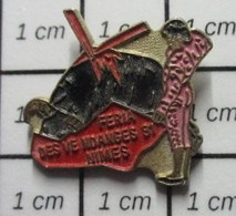 510d Pin's Pins / Beau Et Rare / THEME : SPORTS / TAUROMACHIE CORRIDA FERIA DE NIMES ARENES TORERO VACHE TORO ! - Bullfight - Corrida