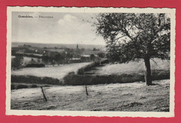 Grandrieu - Panorama ... De La Localité ( Voir Verso ) - Sivry-Rance
