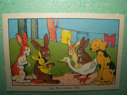 LES ILLUSTRATEURS. BENJAMIN RABIER. LES LAPINS. LES CHIENS. LES OIES. "LE NOUVEAU-NE" - Rabier, B.