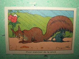 LES ILLUSTRATEURS. BENJAMIN RABIER. LES SOURIS. LES RENARDS. "POUR S'ABRITER DE LA PLUIE" - Rabier, B.