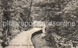 COLWYN BAY THE DINGLE OLD B/W POSTCARD WALES - Denbighshire