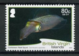 BVI 2020 MNH Marine Animals Stamps Sea Life Definitives Squid 80c R/P 1v Set - Iles Vièrges Britanniques
