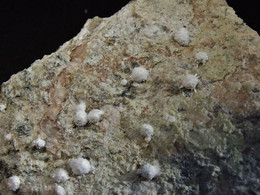 Picropharmacolite ( 5 X 4 X 1.5 Cm )   Sophia Mine - Böckelsbach Valley - Wittichen - Baden-Württemberg - Germany - Minéraux