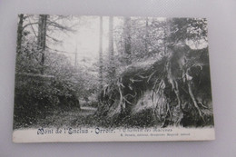 Mont De L'enclus - Orroir - Chemin Des Racines - Kluisbergen