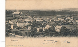 FLOREFFE    VUE PANORAMIQUE      2 SCANS - Floreffe