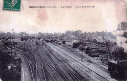76 - Seine Maritime -  SERQUEUX - La Gare - Vue Des Voies - Autres & Non Classés