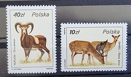 POLOGNE Faune, Mouflon, Cervidé Mammiferes, Yvert N°2832+34  ** MNH - Otros & Sin Clasificación