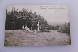 Mont De L'enclus - Vue Prise De La Tour - Kluisbergen