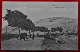 Old Postcard Assiout Avenue Du Temple - Assiout
