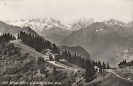 Suisse - OLLON - Bretaye Et La Chaîne Du Mont Blanc - Ollon