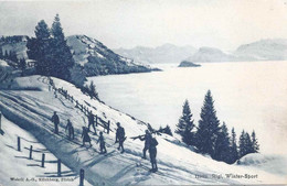 Rigi - Wintersport         Ca. 1910 - SZ Schwyz