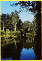 POMMIERS EN FOREZ (Loire) - Plan D'eau Près Du Camping - Éditions CELLARD 13 Rue De L'Économie 69500 BRON - Charlieu