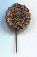 Handball Balonmano - Serbia Federation Association, Vintage Pin Badge Abzeichen - Handball