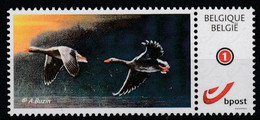 BUZIN.L'OIE CENDREE - 1985-.. Oiseaux (Buzin)