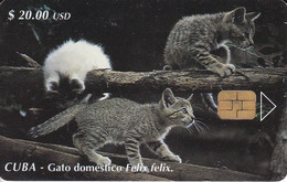 88 TARJETA DE CUBA DE UNOS GATOS (GATO-CAT) - Kuba