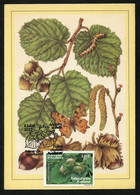 ANDORRA (2022) Fulles D'arbre Avellaner, Noisetier, Haselnuss, Hazelnut, Papillon, Butterfly - Carte Maximum Card - Sonstige & Ohne Zuordnung