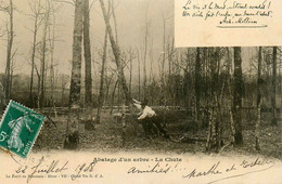 La Forêt En Nivernais * Abatage D'un Arbre , La Chute * Bucheron Métier Bois - Autres & Non Classés