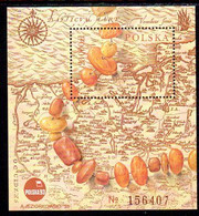 POLAND 1993 POLSKA Philatelic Exhibition; Amber Road Block MNH / **.  Michel Block 121 - Blocks & Sheetlets & Panes