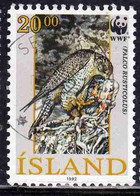 ISLANDA ICELAND ISLANDE ISLAND 1992 WWF FALCO RUSTICULUS ADULT HEAD UP 20.00k USED USATO OBLITERE' - Gebraucht