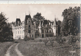 NEUILLE. - Château De Salver. CPSM 9x14 - Autres & Non Classés