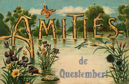 Questembert * Souvenir Du Village , Amitiés ! - Questembert