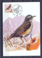 Buzin Maximumkaart Koperwiek OBC 2653 Prachtig - 1991-2000