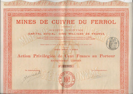 MINES DE CUIVRE DU FERROL - ESPAGNE - ACTION DE CENT FRANCS -ANNEE 1907 - Mijnen