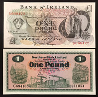 Irlanda Ireland 1 Pound 1978 1980  Sup Q.fds LOTTO 4056 - Ierland